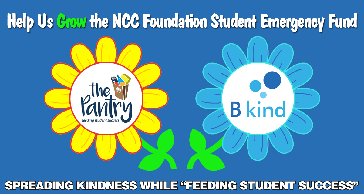 A blue and yellow flower with the words " kindness while feeding students."